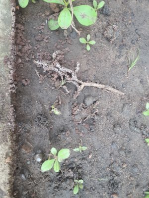 20200908_075552.jpg